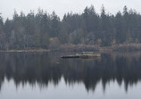 Stanley Park Nature House on Lost Lagoon