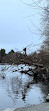 Stanley Park Nature House on Lost Lagoon