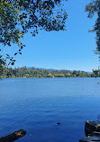 Stanley Park Nature House on Lost Lagoon