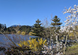 Stanley Park Nature House on Lost Lagoon