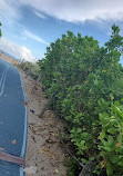 8th Street Lifeguard Tower