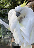 Bloedel Conservatory