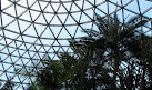 Bloedel Conservatory