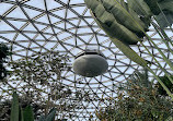 Bloedel Conservatory