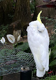 Bloedel Conservatory