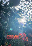 Bloedel Conservatory