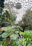 Bloedel Conservatory