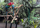 Bloedel Conservatory