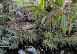 Bloedel Conservatory