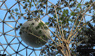 Bloedel Conservatory