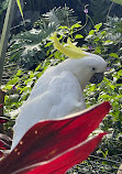 Bloedel Conservatory