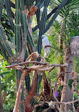 Bloedel Conservatory