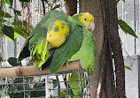 Bloedel Conservatory