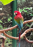 Bloedel Conservatory