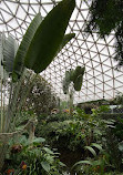 Bloedel Conservatory