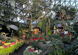 Bloedel Conservatory