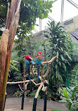 Bloedel Conservatory