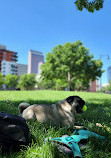 Benedict Fountain Park