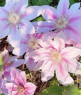 Jardins des Floralies