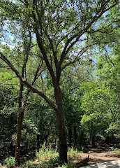 LaBorde Lookout