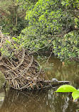 Guandu Nature Park