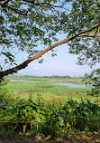 Guandu Nature Park