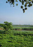 Guandu Nature Park