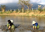 Guandu Nature Park