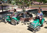 Zoomars at River Street Ranch