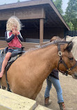 Zoomars at River Street Ranch