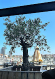 The Olive Tree Ocean Village