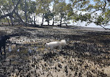 Deception Bay Conservation Park