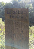 Blackley Forest