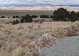 Great Sand Dunes Lodge