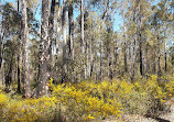 Munday Brook Walk Trail