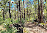 Munday Brook Walk Trail