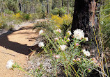 Munday Brook Walk Trail