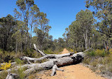 Munday Brook Walk Trail