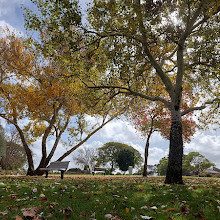 Peace Memorial Rose Gardens