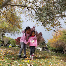 Peace Memorial Rose Gardens