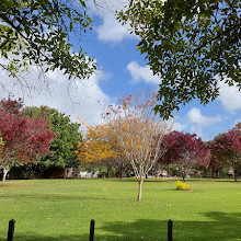 Peace Memorial Rose Gardens