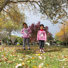 Peace Memorial Rose Gardens