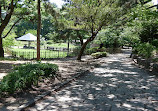 Tsuruma Park