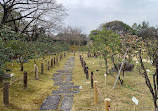 Camellia Garden