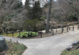 Japanese Garden