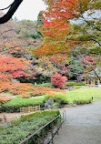 Japanese Garden