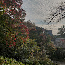 Japanese Garden