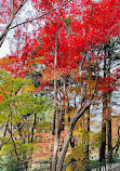 Japanese Garden