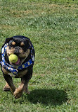 Barnegat Light Dog Park