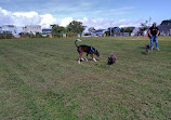 Barnegat Light Dog Park